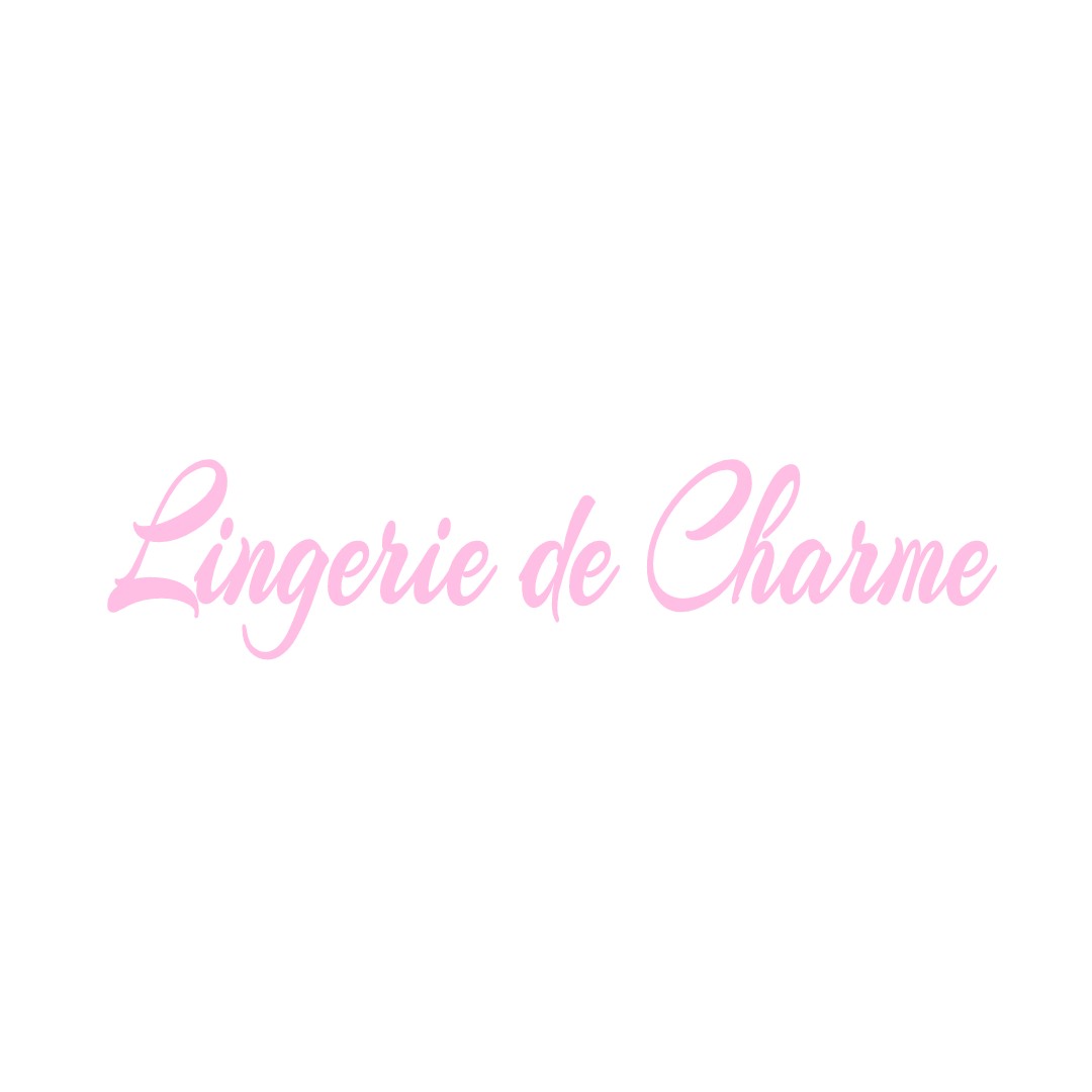 LINGERIE DE CHARME SAINT-PARIZE-LE-CHATEL